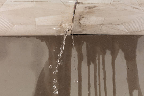 Professional Burst Pipe Cleanup technician working in Appleton, WI